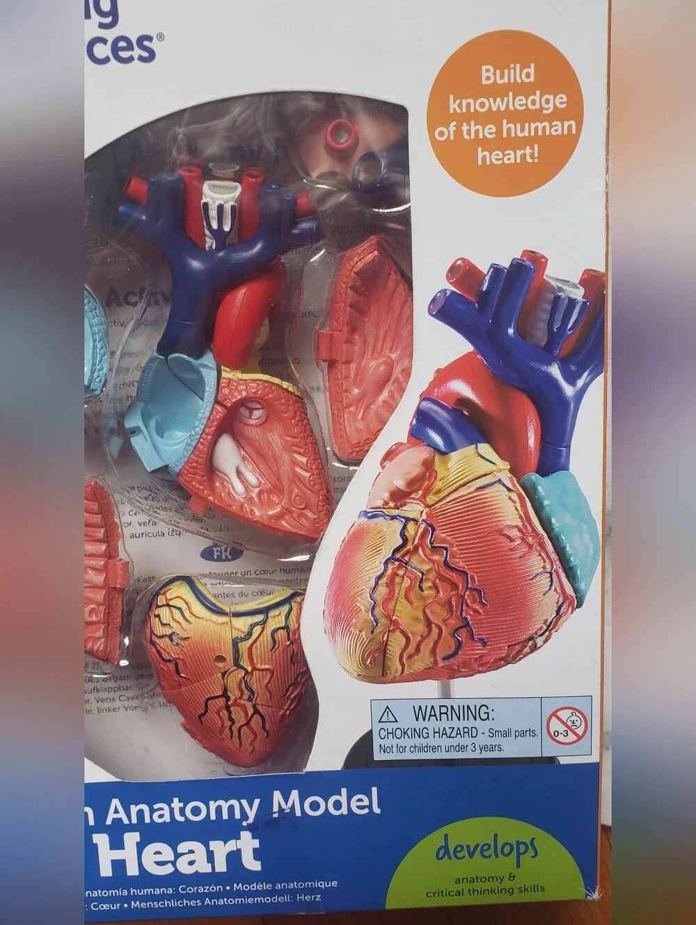 NEW Human Heart Anatomy Model Educational Biology 29-Pieces Learning Resources